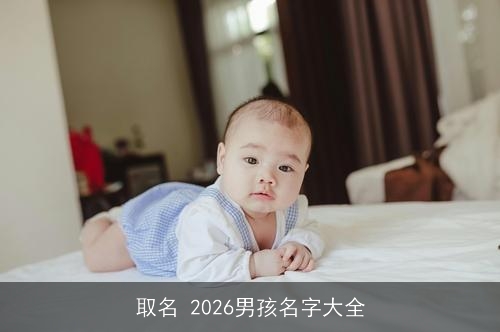 取名 2026男孩名字大全