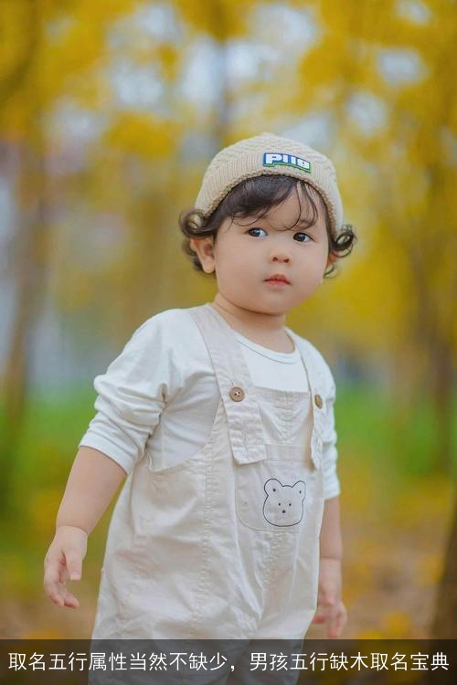 取名五行属性当然不缺少，男孩五行缺木取名宝典