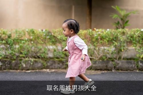 取名周姓男孩大全