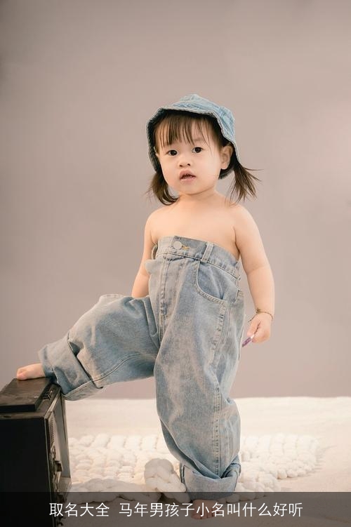 取名大全 马年男孩子小名叫什么好听