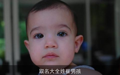 取名大全姓崔男孩