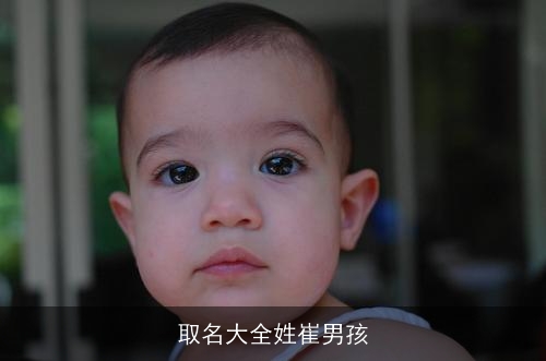 取名大全姓崔男孩
