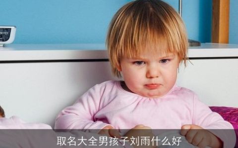 取名大全男孩子刘雨什么好
