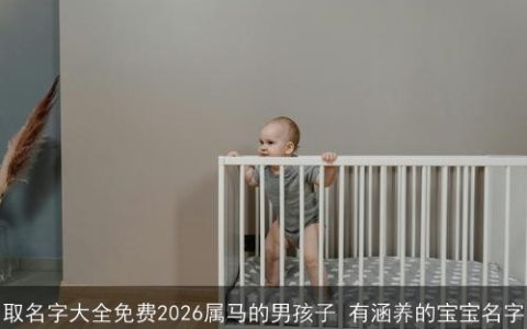 取名字大全免费2026属马的男孩子 有涵养的宝宝名字