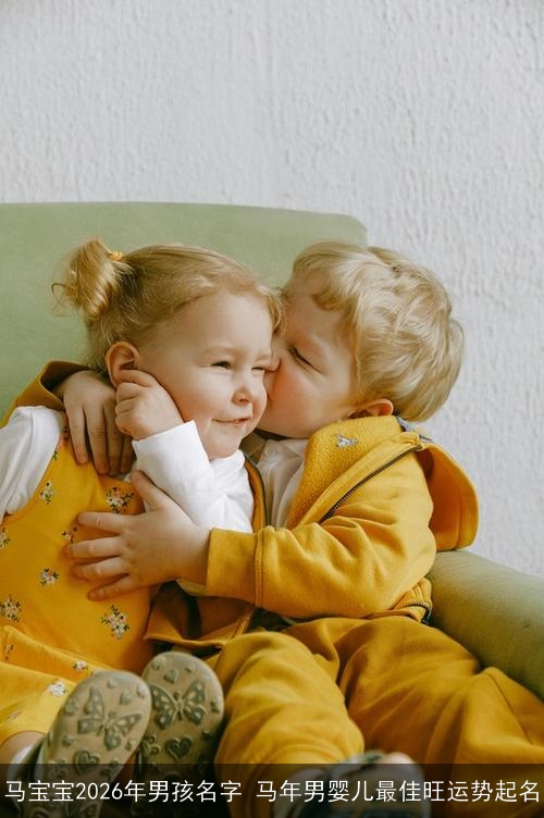 马宝宝2026年男孩名字 马年男婴儿最佳旺运势起名