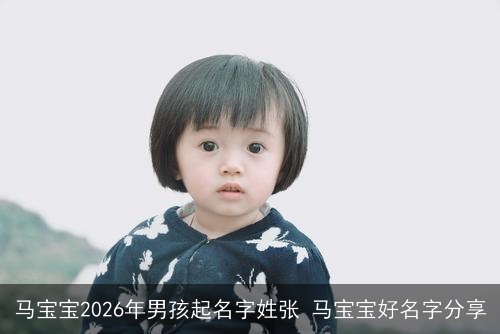 马宝宝2026年男孩起名字姓张 马宝宝好名字分享