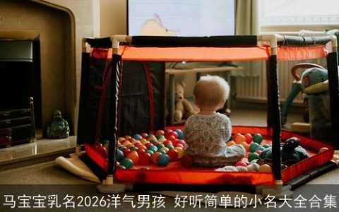 马宝宝乳名2026洋气男孩 好听简单的小名大全合集