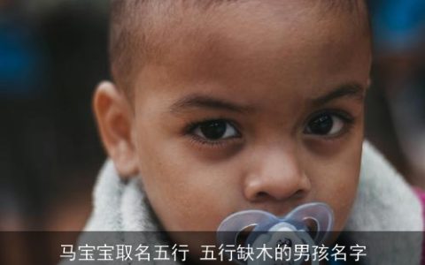马宝宝取名五行 五行缺木的男孩名字