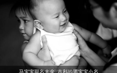 马宝宝取名大全 吉利的男宝宝小名