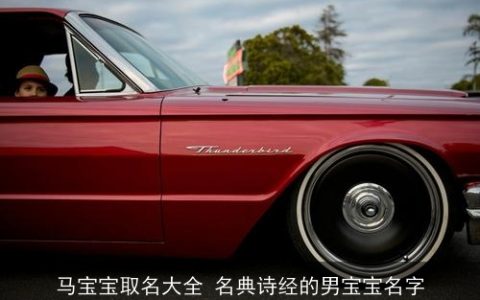 马宝宝取名大全 名典诗经的男宝宝名字