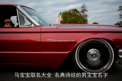 马宝宝取名大全 名典诗经的男宝宝名字