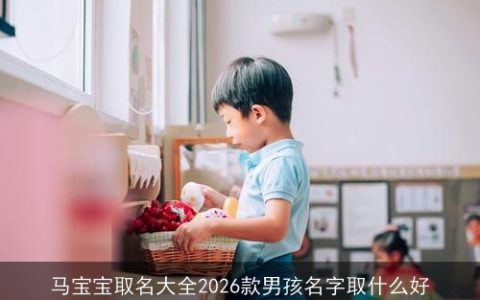 马宝宝取名大全2026款男孩名字取什么好