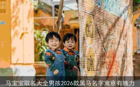 马宝宝取名大全男孩2026款属马名字寓意有魄力
