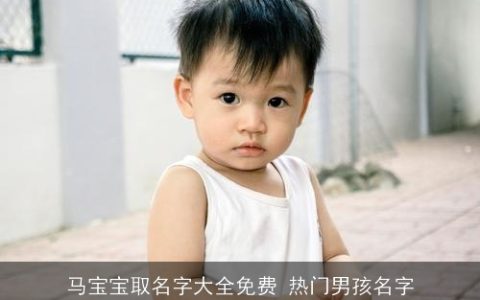 马宝宝取名字大全免费 热门男孩名字