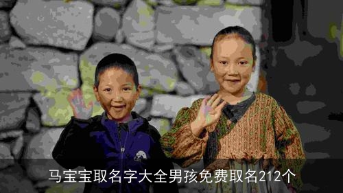 马宝宝取名字大全男孩免费取名212个