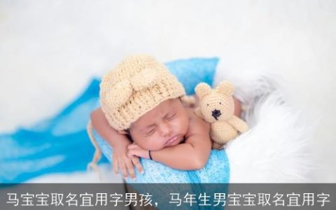 马宝宝取名宜用字男孩，马年生男宝宝取名宜用字
