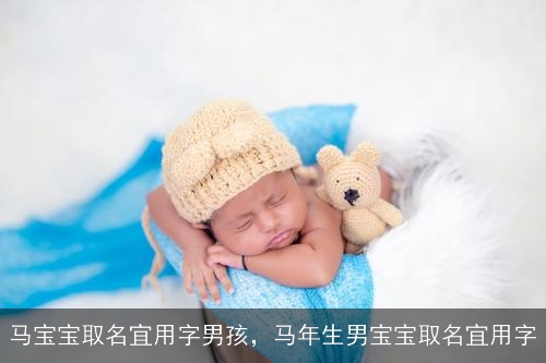 马宝宝取名宜用字男孩，马年生男宝宝取名宜用字