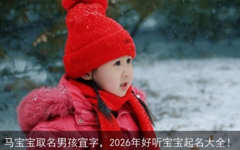 马宝宝取名男孩宜字，2026年好听宝宝起名大全！