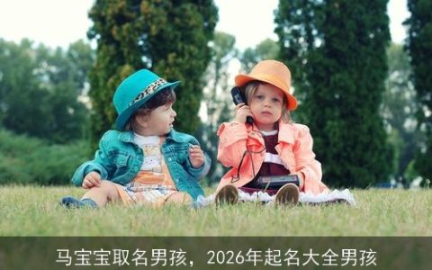 马宝宝取名男孩，2026年起名大全男孩