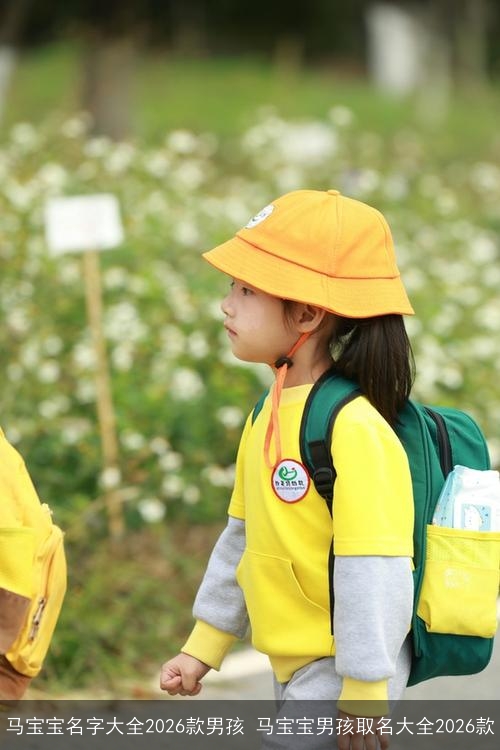 马宝宝名字大全2026款男孩 马宝宝男孩取名大全2026款