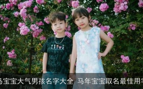 马宝宝大气男孩名字大全 马年宝宝取名最佳用字
