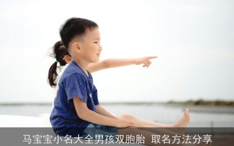 马宝宝小名大全男孩双胞胎 取名方法分享