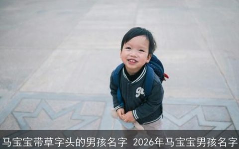 马宝宝带草字头的男孩名字 2026年马宝宝男孩名字
