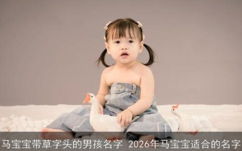 马宝宝带草字头的男孩名字 2026年马宝宝适合的名字