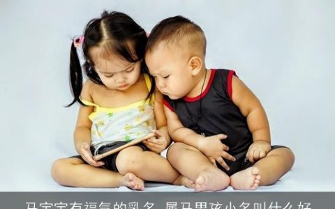 马宝宝有福气的乳名 属马男孩小名叫什么好
