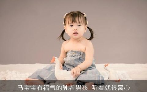 马宝宝有福气的乳名男孩 听着就很窝心