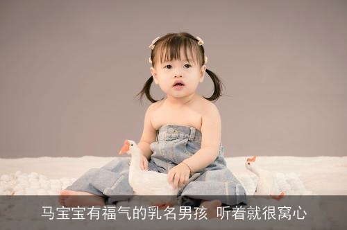 马宝宝有福气的乳名男孩 听着就很窝心