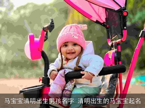 马宝宝清明出生男孩名字 清明出生的马宝宝起名
