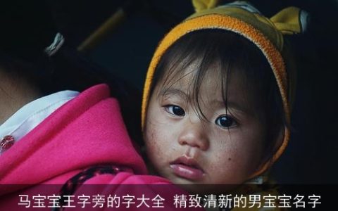 马宝宝王字旁的字大全 精致清新的男宝宝名字
