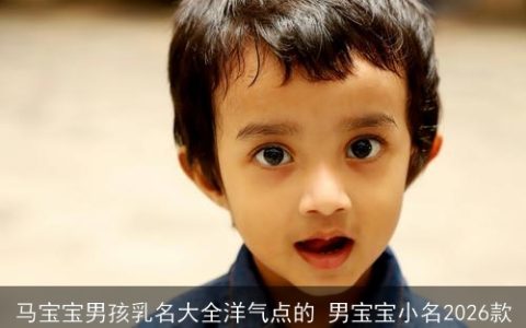 马宝宝男孩乳名大全洋气点的 男宝宝小名2026款