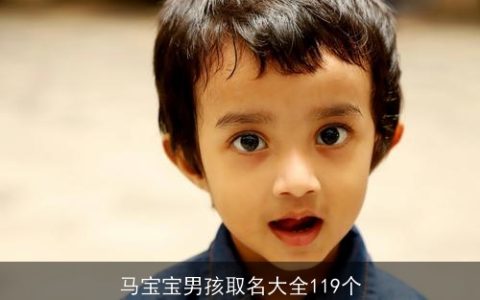 马宝宝男孩取名大全119个