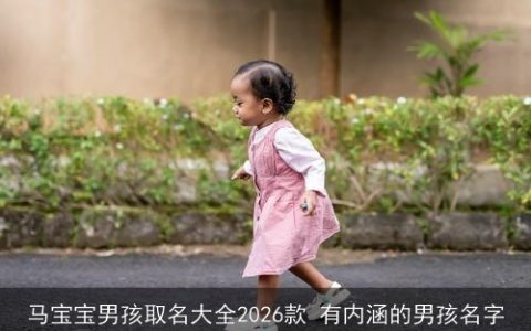 马宝宝男孩取名大全2026款 有内涵的男孩名字