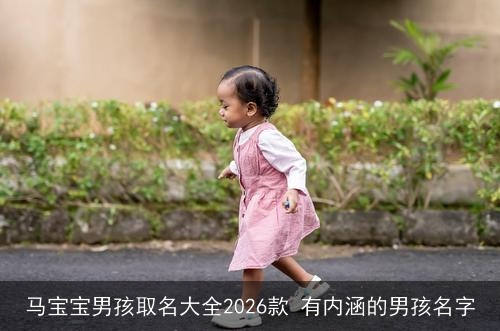 马宝宝男孩取名大全2026款 有内涵的男孩名字