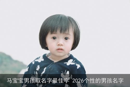 马宝宝男孩取名字最佳字 2026个性的男孩名字
