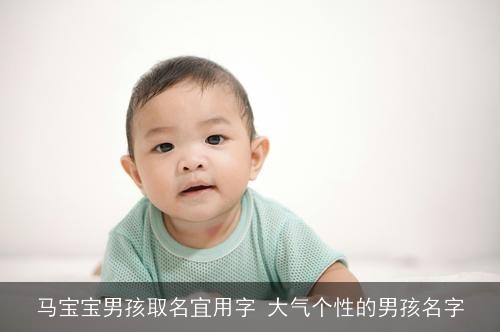 马宝宝男孩取名宜用字 大气个性的男孩名字