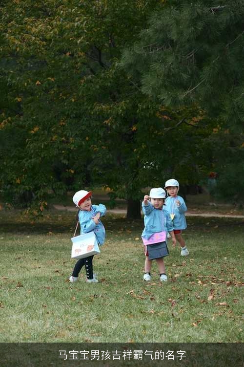 马宝宝男孩吉祥霸气的名字
