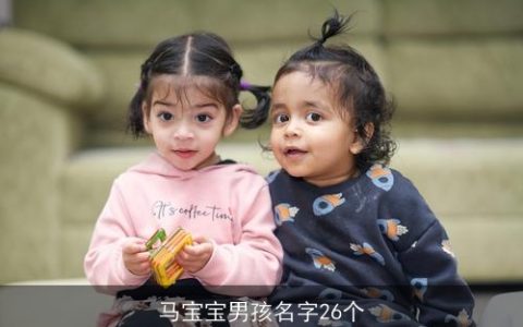 马宝宝男孩名字26个