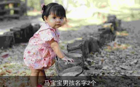 马宝宝男孩名字2个