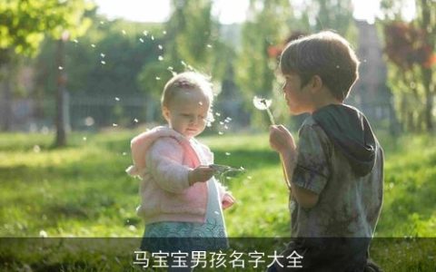 马宝宝男孩名字大全
