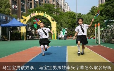 马宝宝男孩姓李，马宝宝男孩姓李兴字辈怎么取名好听