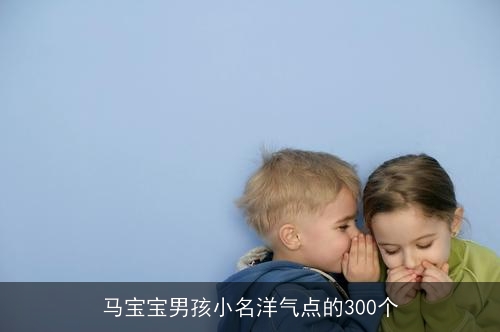 马宝宝男孩小名洋气点的300个