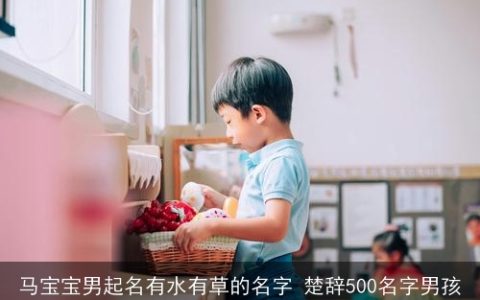 马宝宝男起名有水有草的名字 楚辞500名字男孩