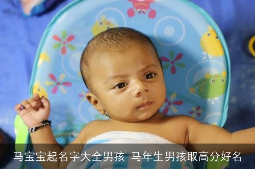 马宝宝起名字大全男孩 马年生男孩取高分好名