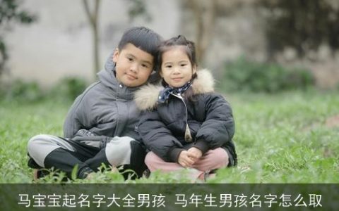 马宝宝起名字大全男孩 马年生男孩名字怎么取