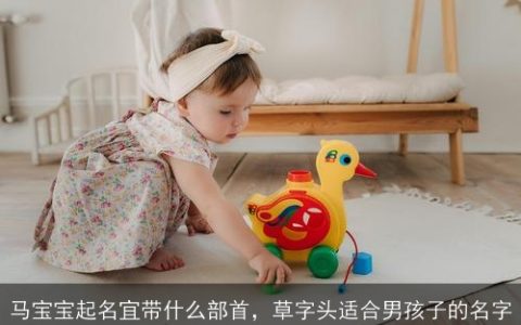 马宝宝起名宜带什么部首，草字头适合男孩子的名字