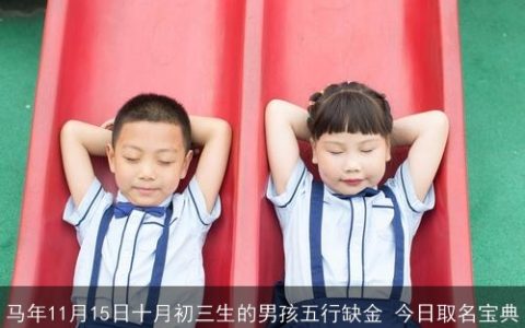 马年11月15日十月初三生的男孩五行缺金 今日取名宝典